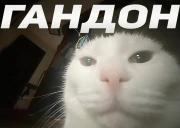 GANDON emote