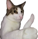 noproblem emote