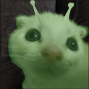 iblubs avatar