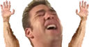 HandsUp emote