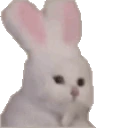 rabbitJAM emote