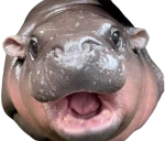 MOODENG emote