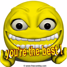 youretheBEST emote