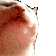 catJAAM emote