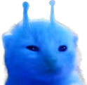 blorp emote