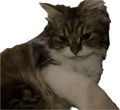 sweetcat static emote