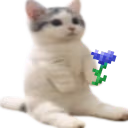 catsittingverycomfortableholdingacornflower emote