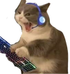 gaming_cat emoji