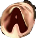 AMEGALUL emote