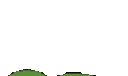 ApuPeek emote