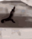 littlemokyrunning animated emote
