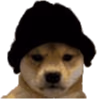 BeanieDog emote