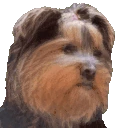 RATS emoji
