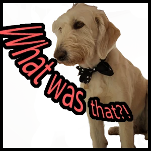 What_was_that emoji