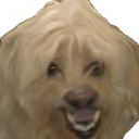 dog_haha emote