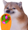 CheemsShawarma emote