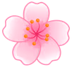 sakura_flower emote