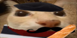 otague emote