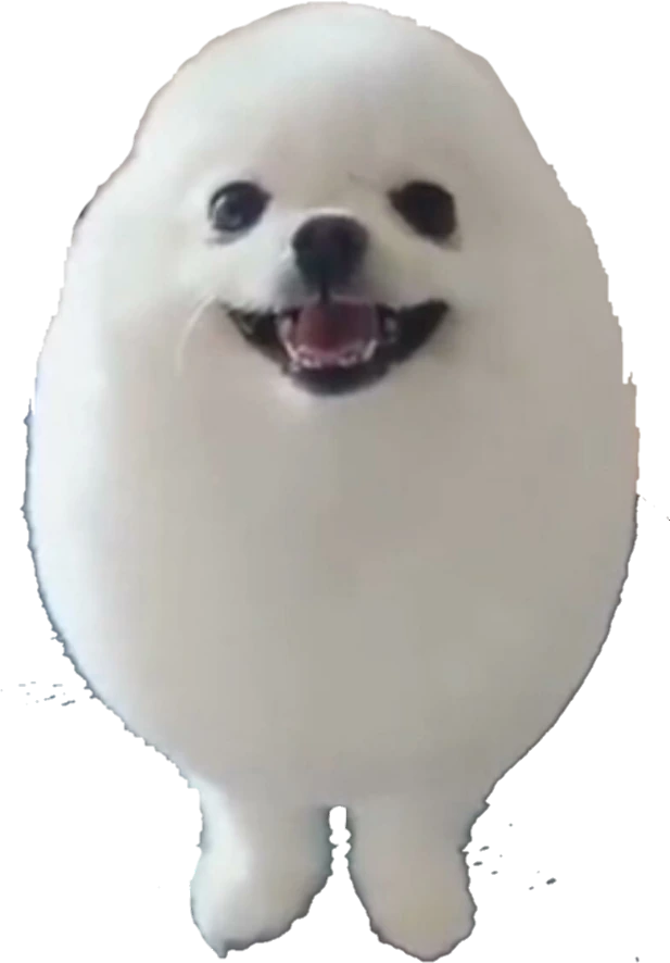 egg_dog emote