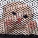 smolCrimes emote