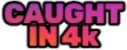 caughtin4k_IDS emote