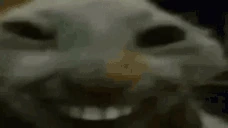 xddingZhonya emote