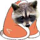 raccoonBlanket emote