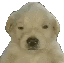 glink0muerte emoji