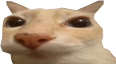 otag emote