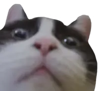 milky emote