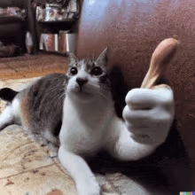 ThumbsUP emote