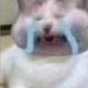 iiiiiii emote