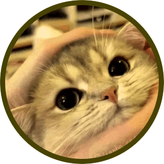 dianbo_coin emote