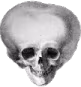 skull_5head emote