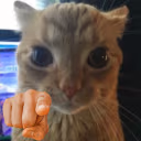 YOU emote