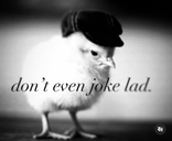 dontevenjokelad static emote