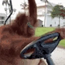 anyways emote