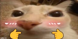 otagShy emote