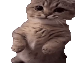 errr emote