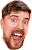 Mrbeast144p emote