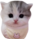 bubi emote