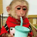 MonkeySip animated emote