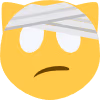 Injured_Cat emote