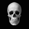 Forgor emote