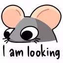 iamlooking emote