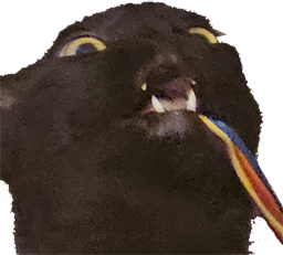 jetmoto static emote
