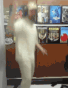 banaPls2 animated emote