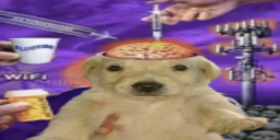 brainrot static emote