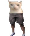 catOU animated emote
