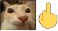 pati emote